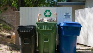 dust bin